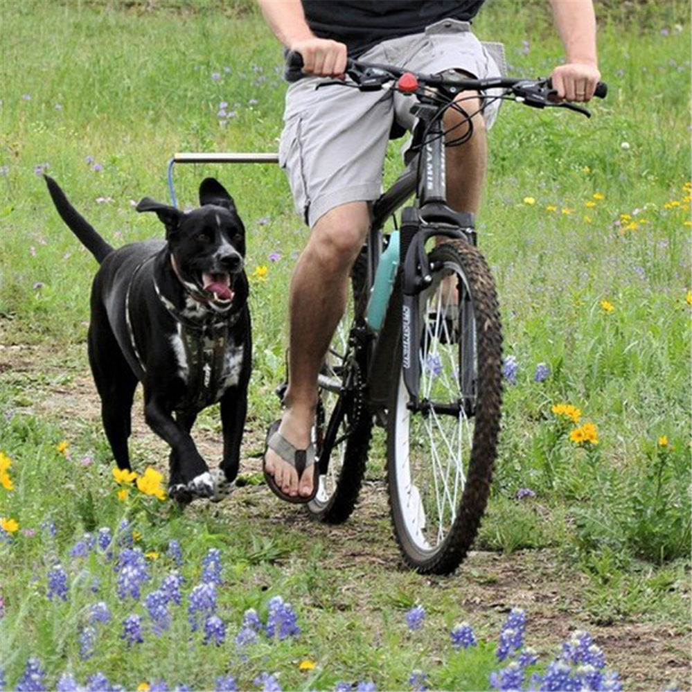 Towing Dog With Bicycle Dog Walker