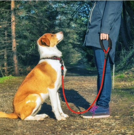 Reflective Dog Leash Nylon